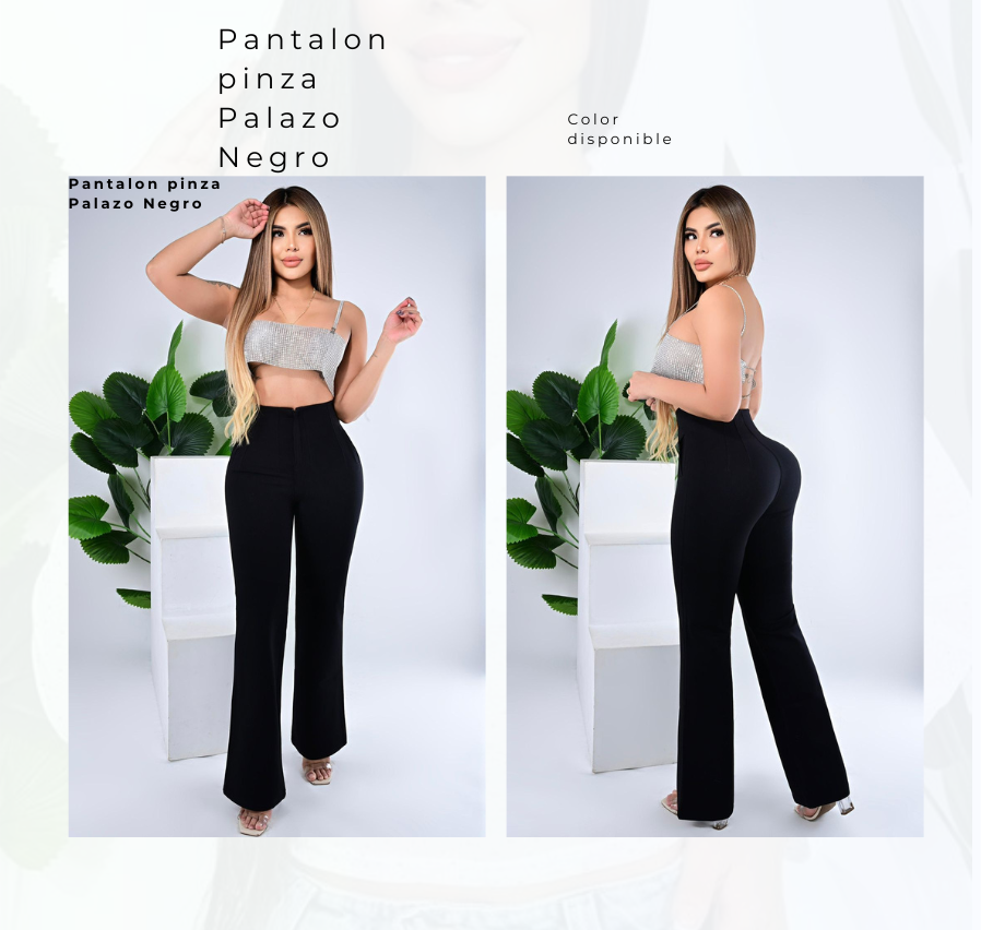 Pantalon Pinza Palazo Negro