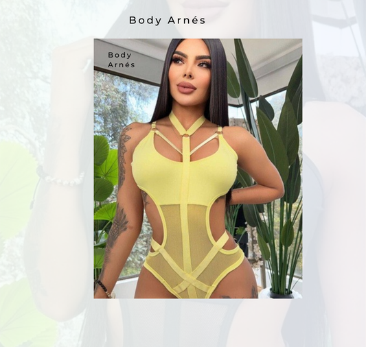 Body Arnes